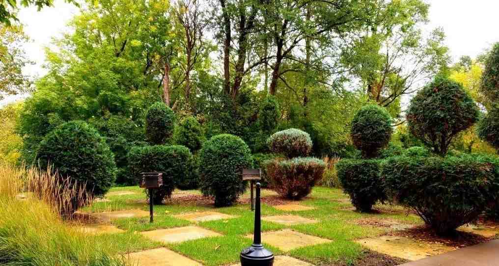 Chateau Ridge - Photo 2 of 27