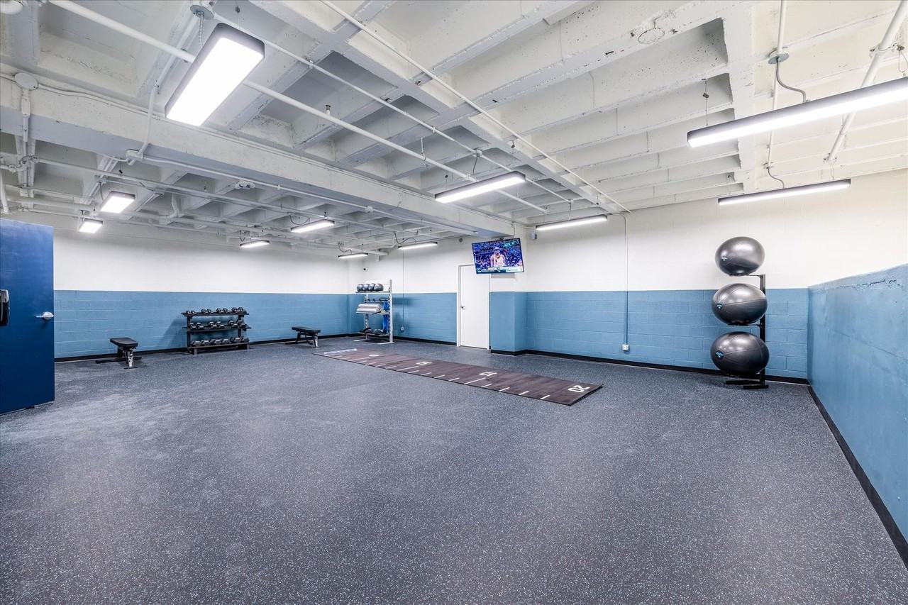 The Archive - Photo 7 of 18