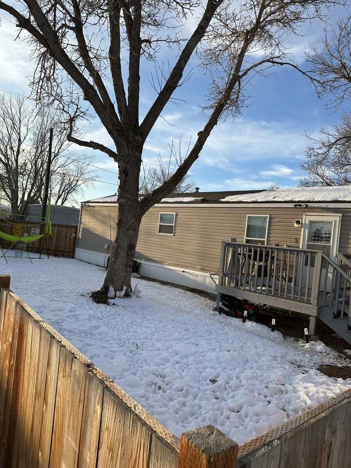 BUZZ IN MHP - Photo 2 of 4