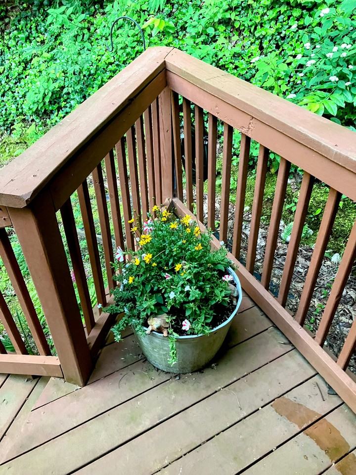 38 Bulldog Ln #NA - Photo 3 of 31