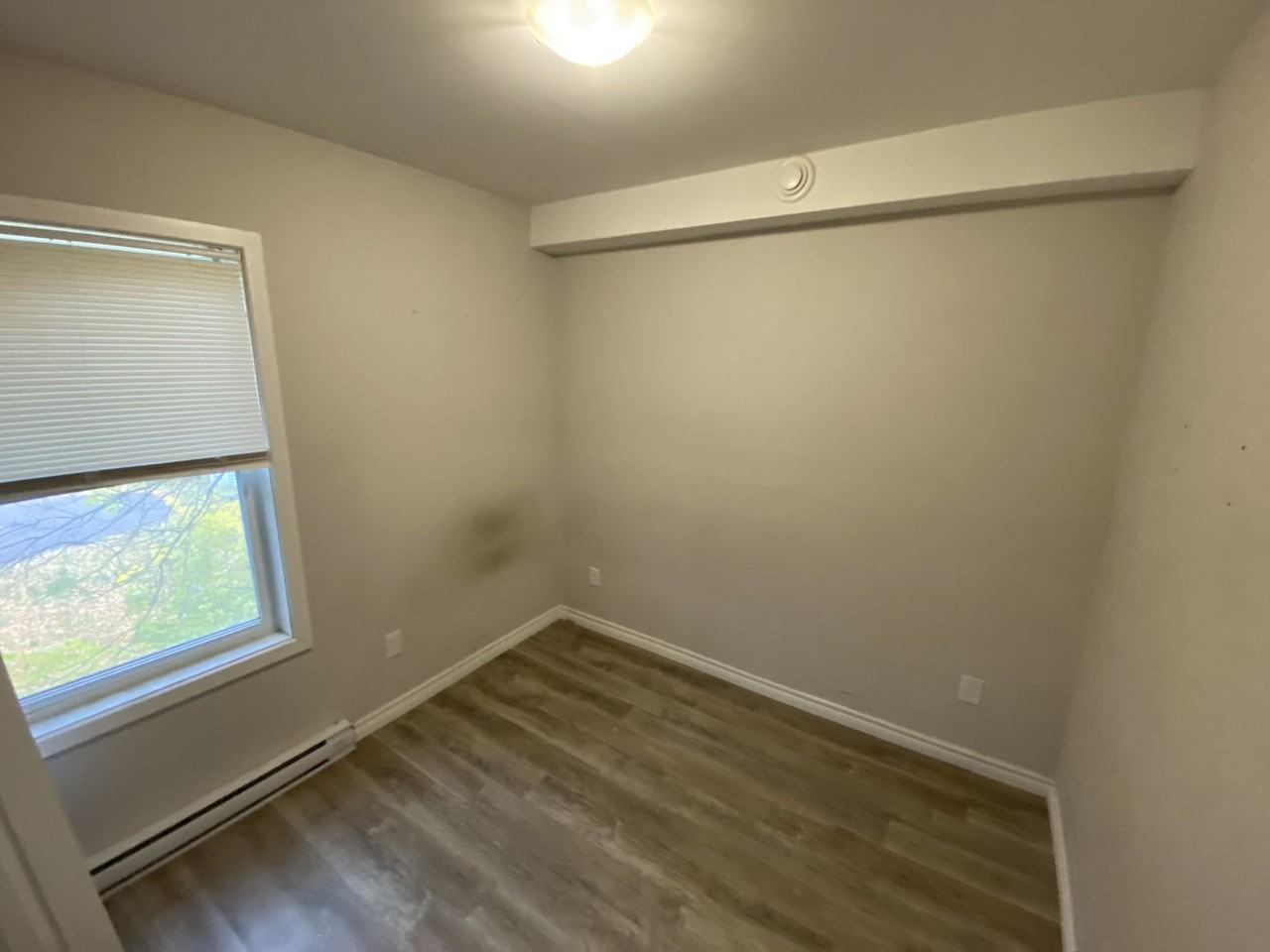 262 Robinson Street #262 - Photo 6 of 13