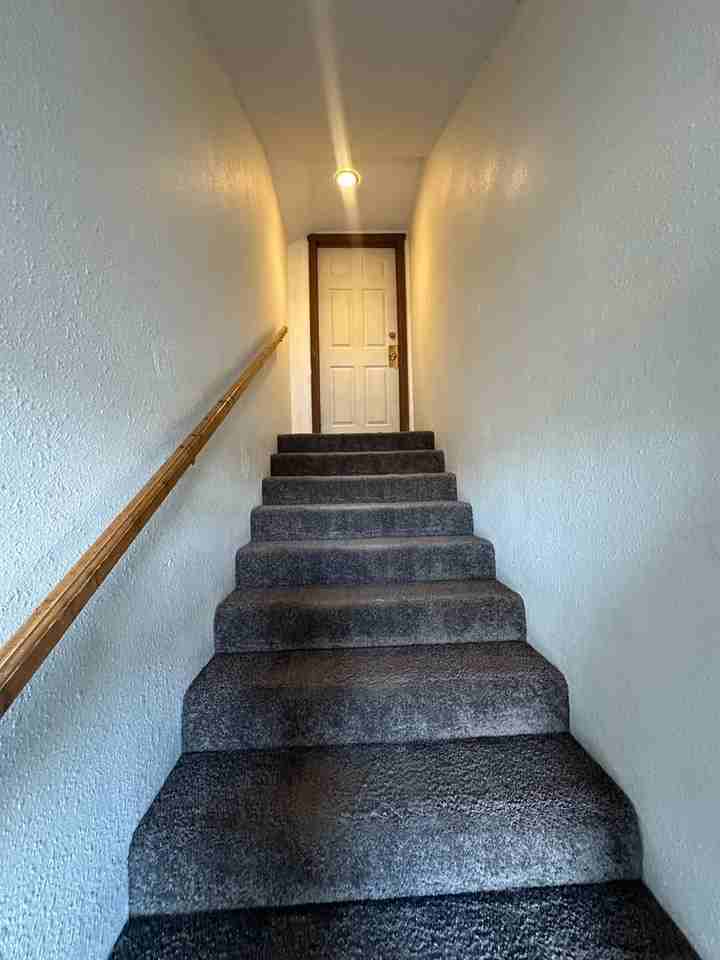 517 E 7th St - Photo 3 of 14