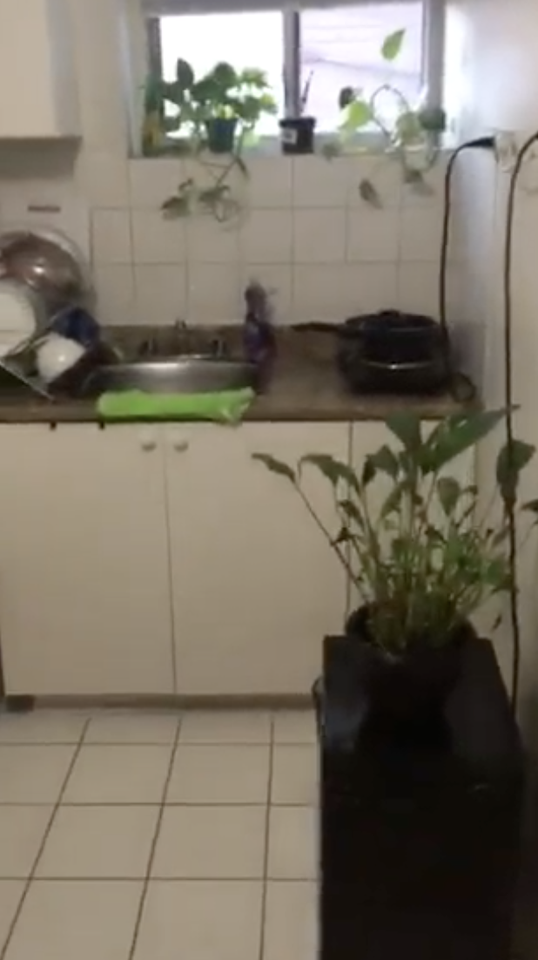 216 Keele St - Photo 4 of 11