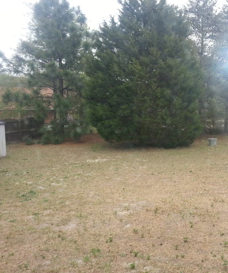 116 Eleta Dr - Photo 5 of 12