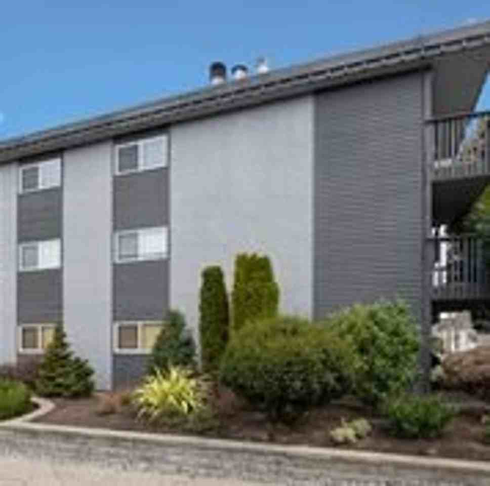 SAM Samsara - Photo 3 of 21