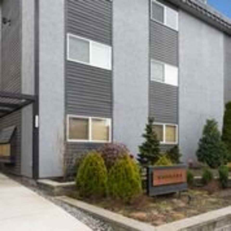 SAM Samsara - Photo 4 of 21