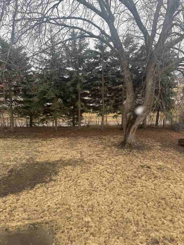 10905 Southview Dr - Photo 3 of 9