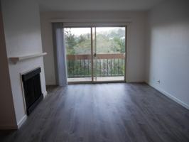 featured image of 4202 Golden Oaks Ln