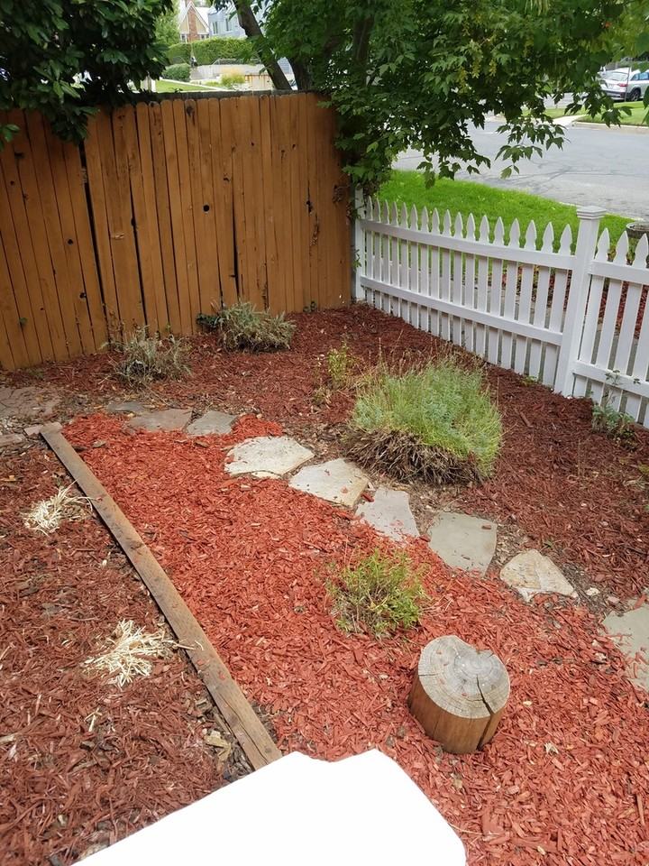 133 M St - Photo 4 of 27