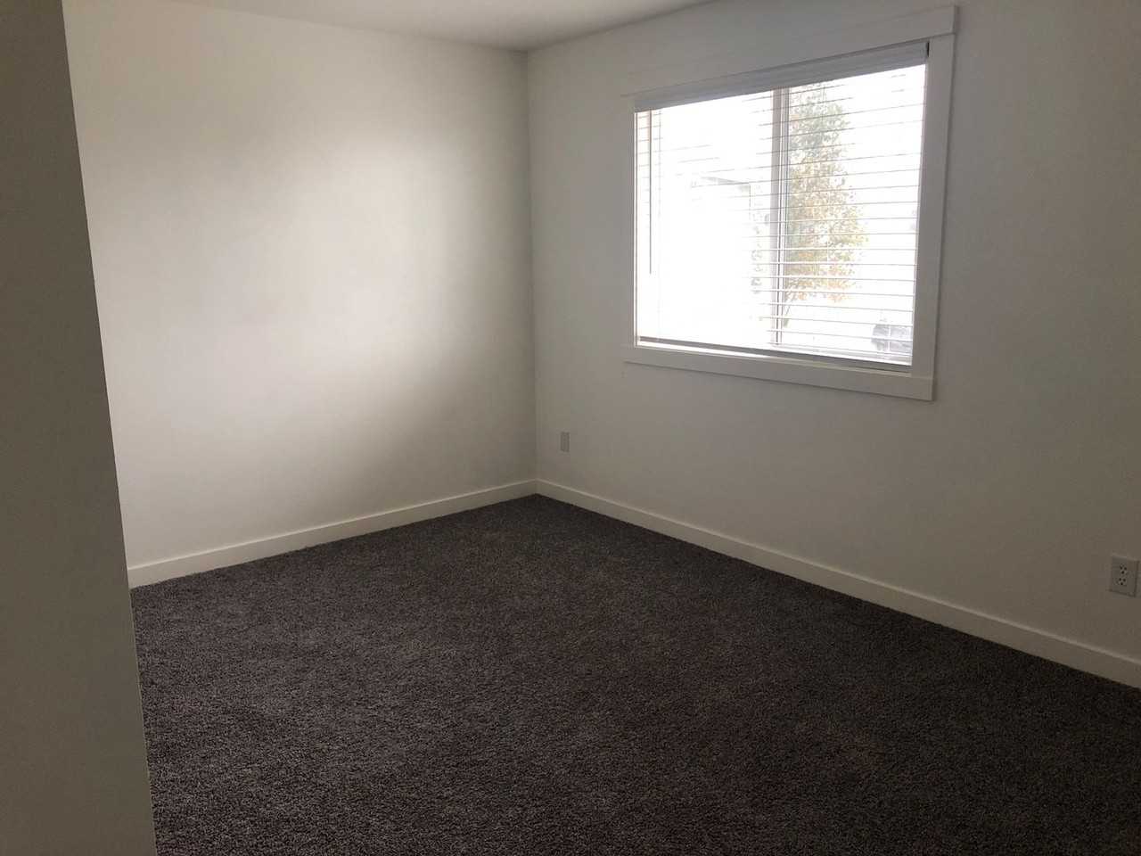 8708 8th Pl Ne - Photo 7 of 13