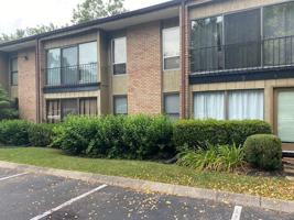 featured image of 116 Harding Pl