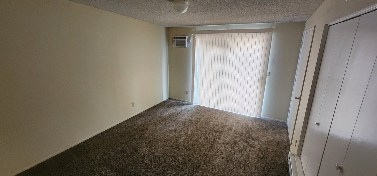 2304 N Forgeus Ave - Photo 4 of 19