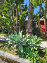 2151 Daisy Ave Long Beach - Photo 1 of 1