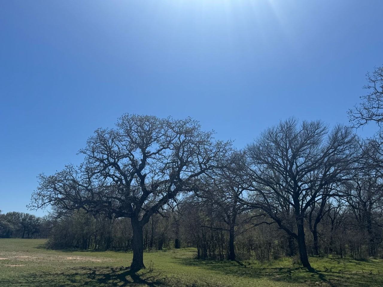 11025 11025 Brock Highway-looper - Photo 3 of 49