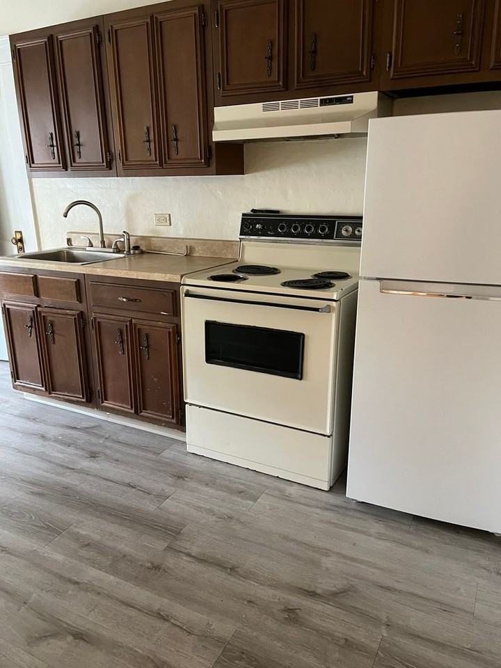 604 Chestnut Street - Photo 2 of 12