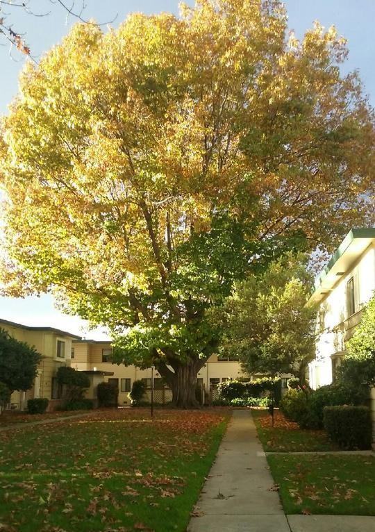 153A Haas Ave - Photo 7 of 27