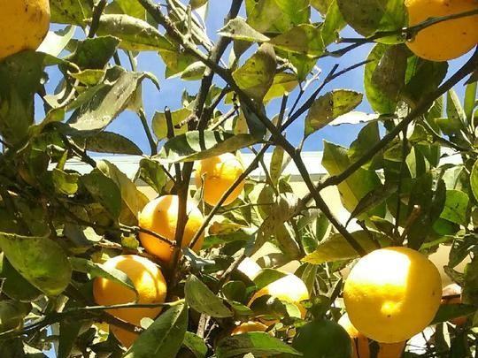 153A Haas Ave - Photo 4 of 27