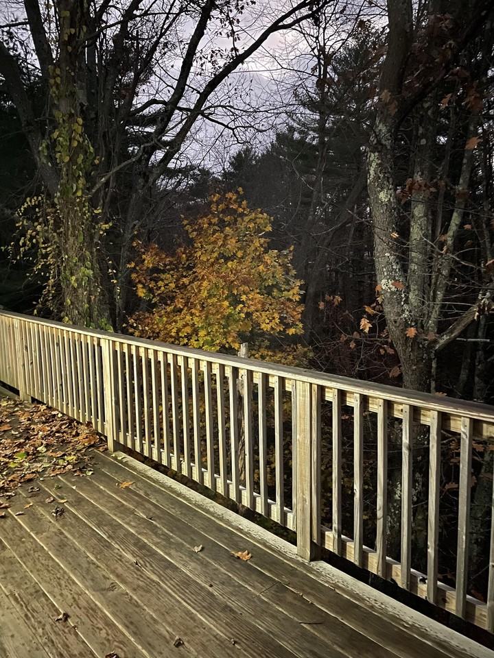 30 Tedford Rd #A - Photo 2 of 9