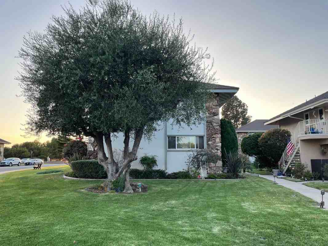 22925 Nadine Cir ##B - Photo 2 of 23