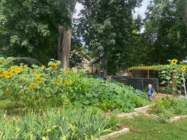 524 E Swallow Rd - Photo 3 of 17