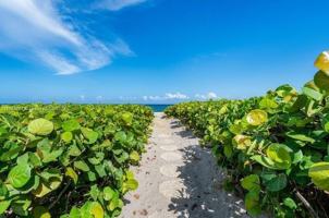 featured image of 2565 S Ocean Blvd #205N