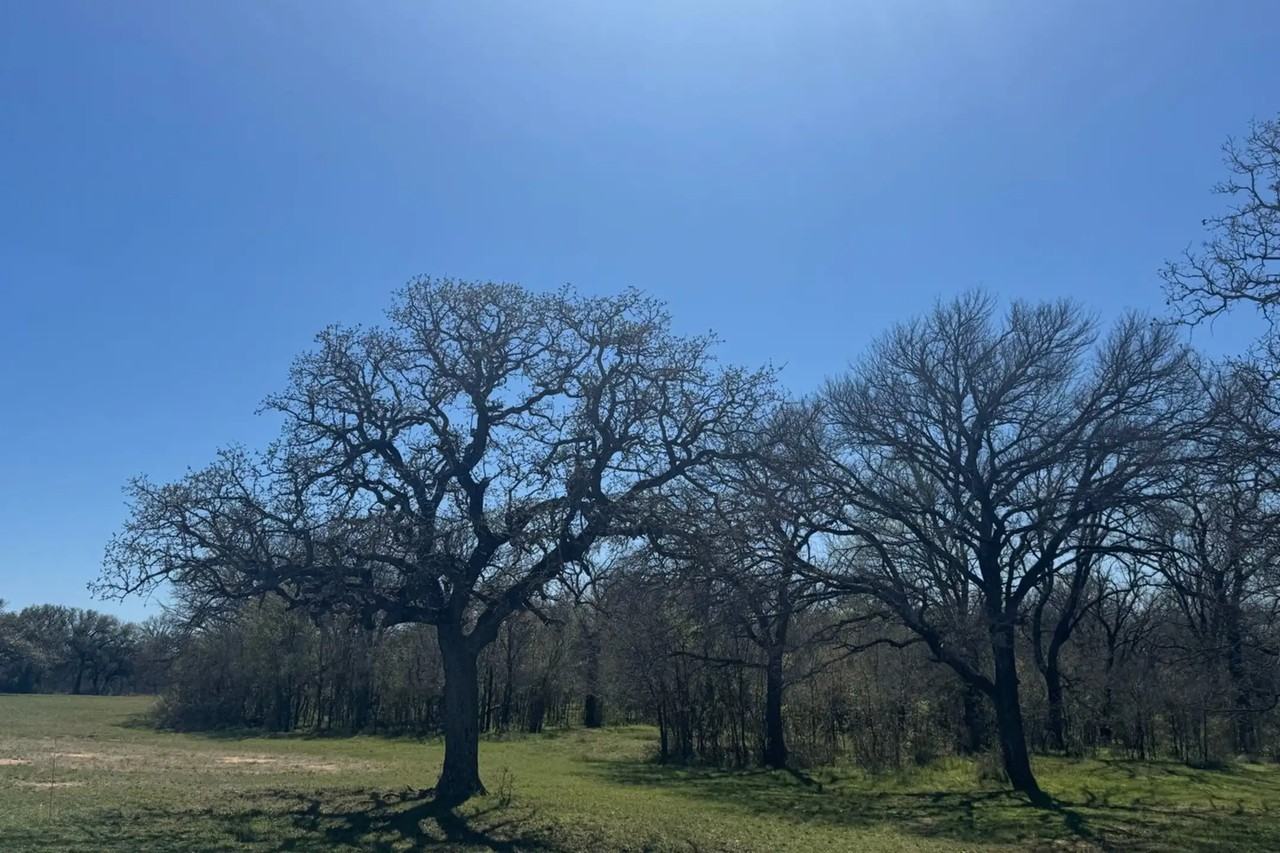 11025 Brock Highway-looper - Photo 3 of 49