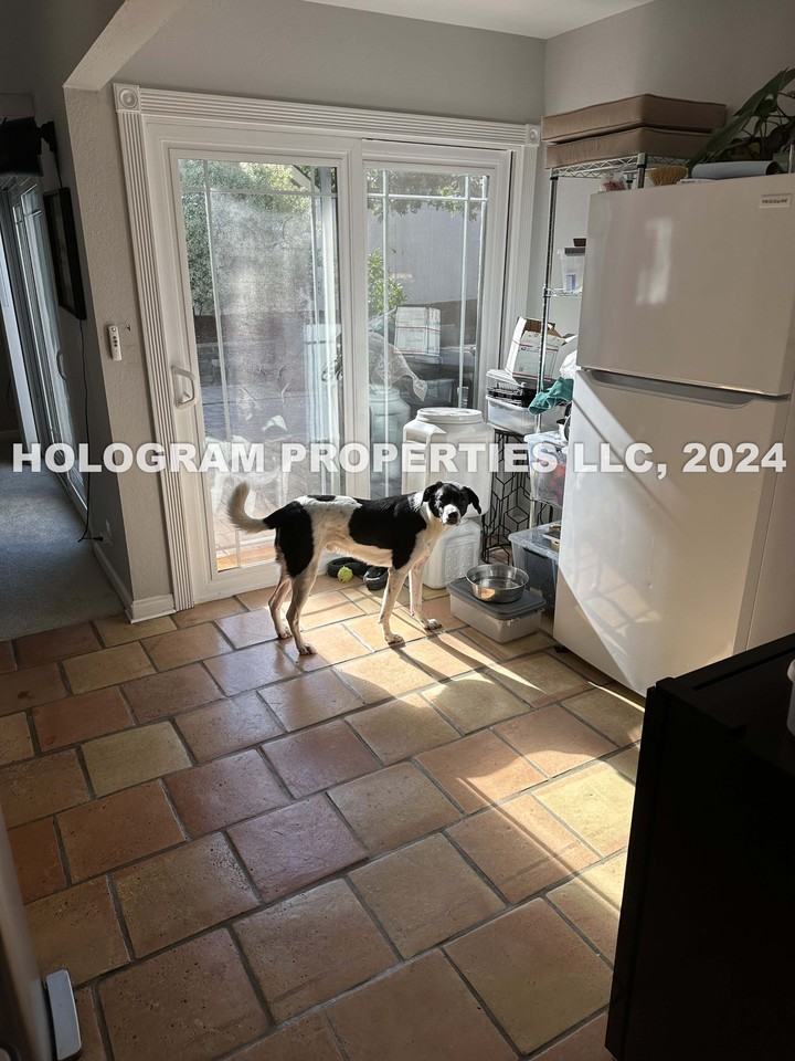 2325 Ganador Ct - Photo 6 of 29