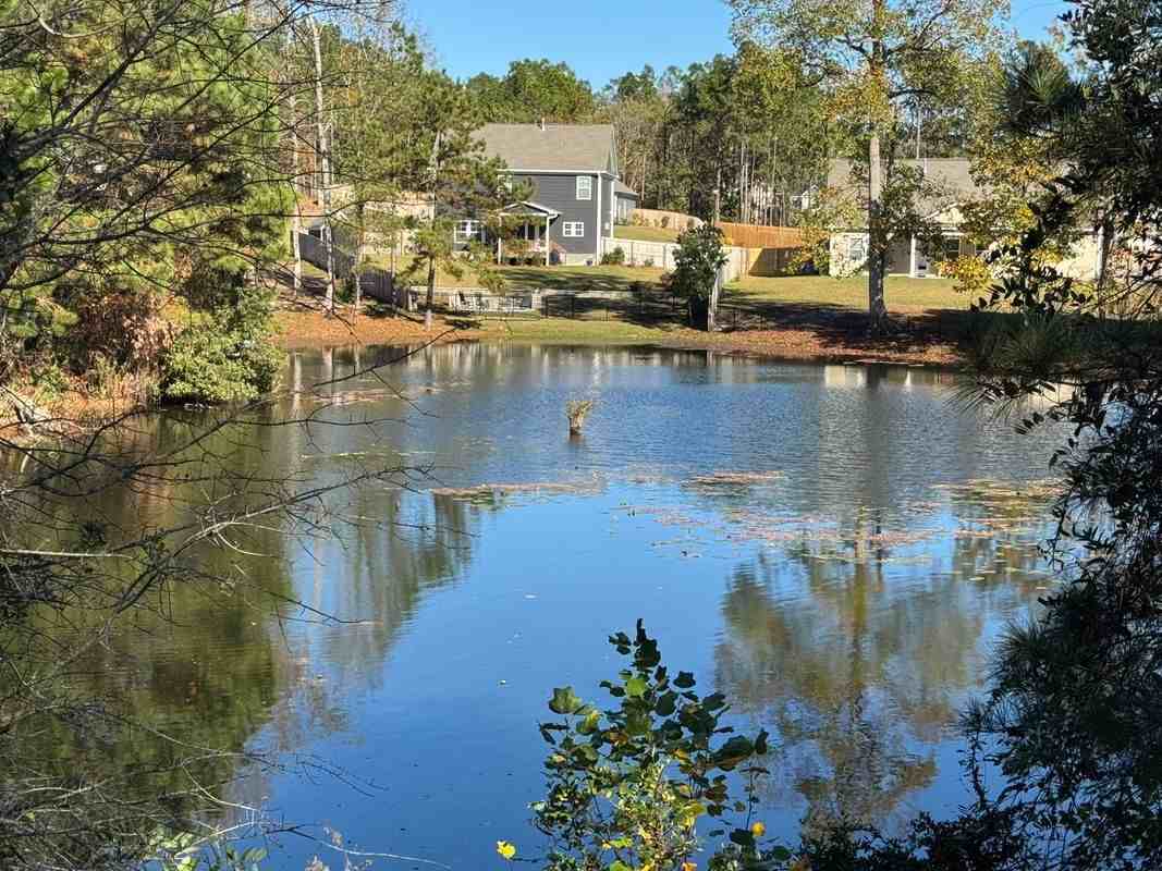 225 Shadowbrook Way - Photo 3 of 34