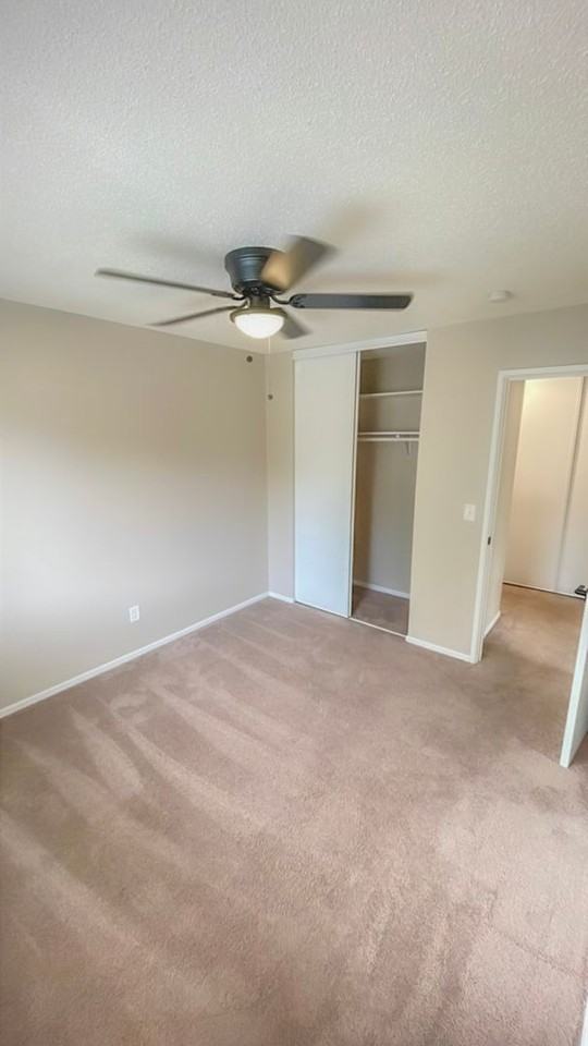 Moore Lake - Photo 4 of 50