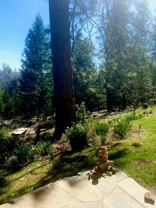 14200 Tahoe View - Photo 1 of 1