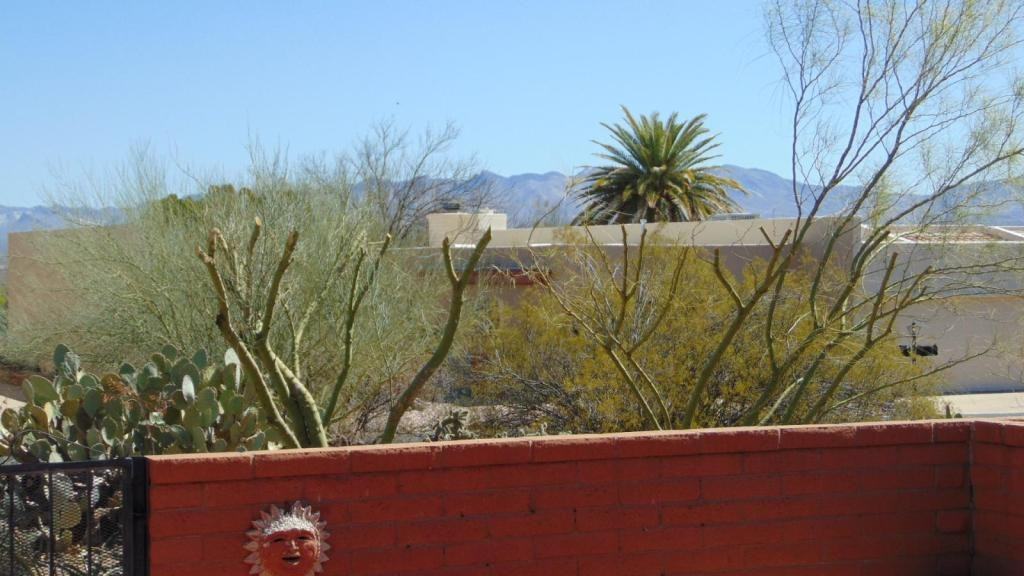 675 S Los Topacios - Photo 2 of 22