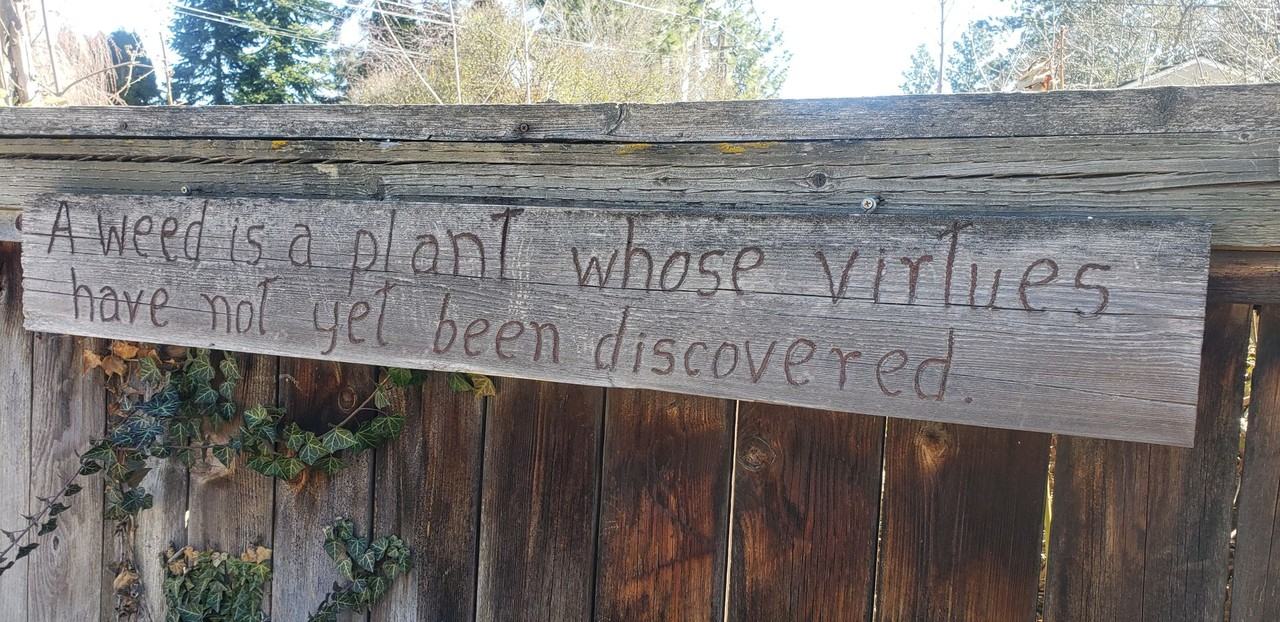 1803 E 40th Ave - Photo 5 of 20