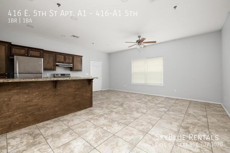 416 E 5th St Apt A1 #416A1-5th - Photo 4 of 11