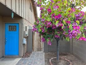 1418 E El Parque Dr #NA - Photo 1 of 1