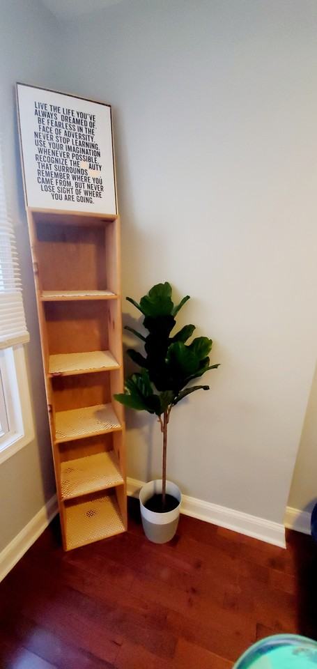 5417 Spruce St #A - Photo 4 of 10