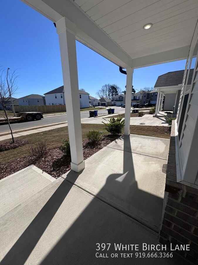 397 White Birch Lane - Photo 3 of 45