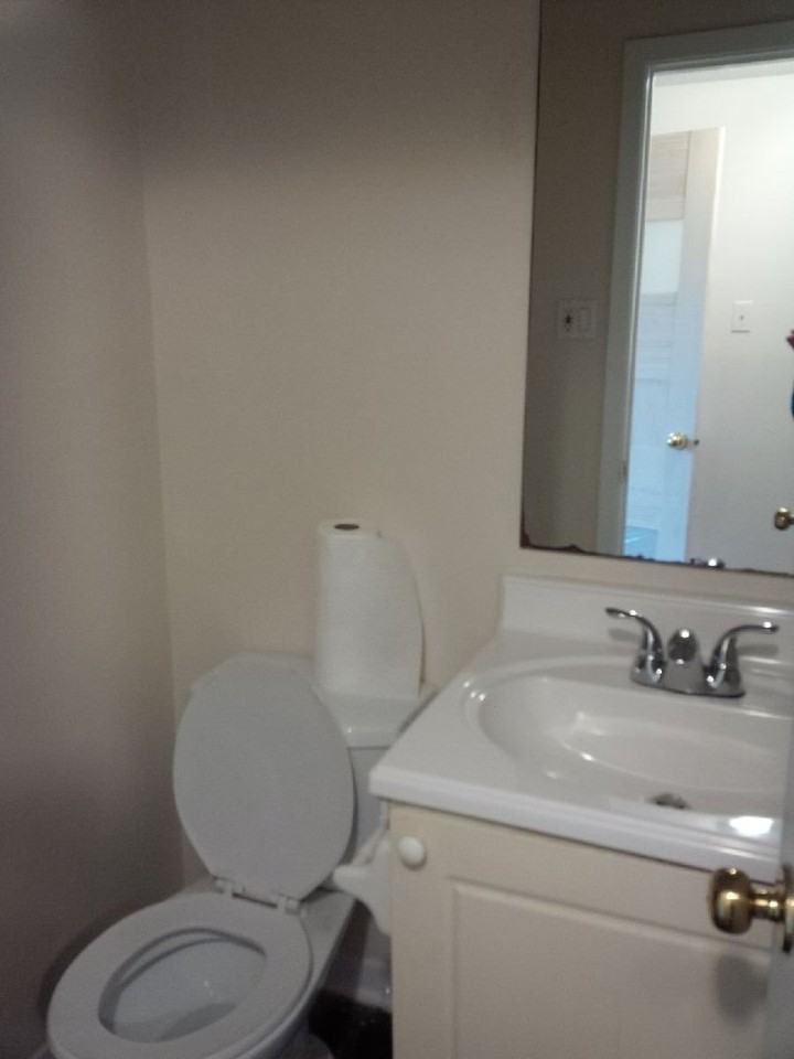 1297 Cornell St - Photo 3 of 22