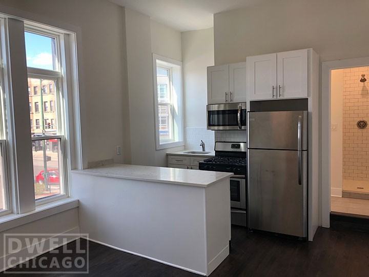 2362 N Clybourn Ave #2R - Photo 2 of 24