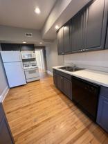 Beautiful Vintage Apartments Near NorthShore Evanston Hospital - Photo 1 of 1