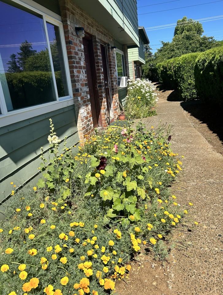 Mt. Pleasant Apartments - Photo 2 of 29