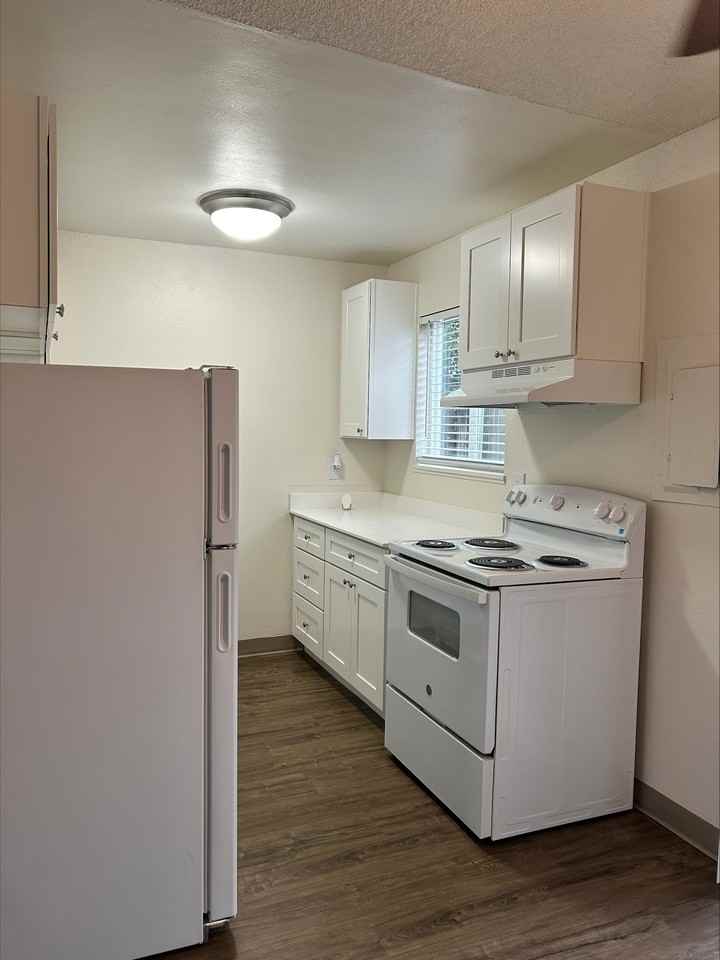 Mt. Pleasant Apartments - Photo 6 of 29