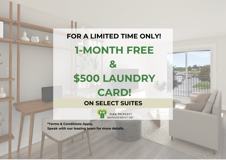 45 Caroline St N - Photo 1 of 1