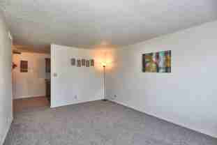 South Point Apartments - Photo 1 of 1