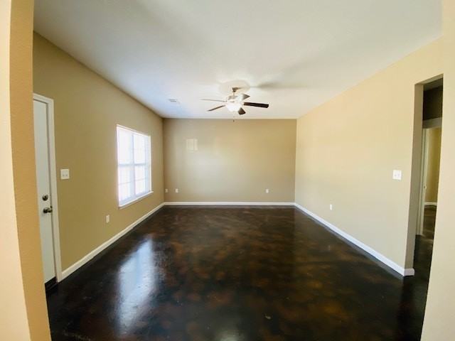 Cotton 8 - Photo 2 of 14