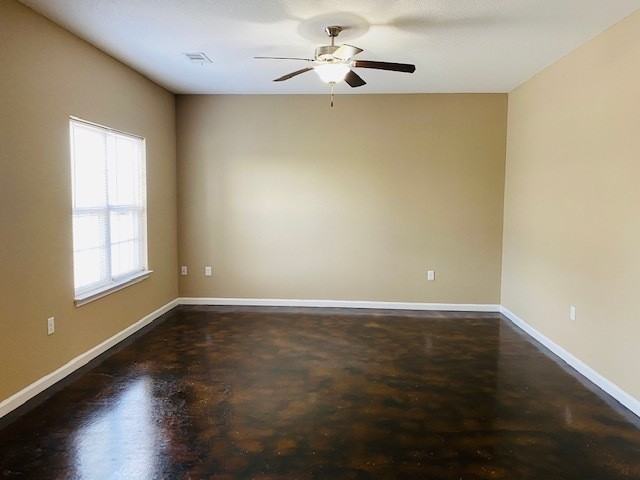 Cotton 8 - Photo 3 of 14