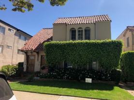 JUDYREX - Photo 1 of 1