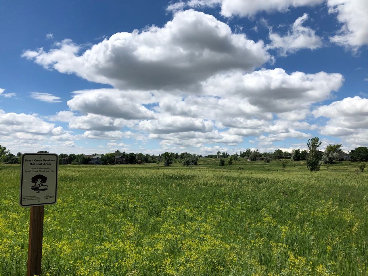 126 Fossil Ct W - Photo 5 of 17