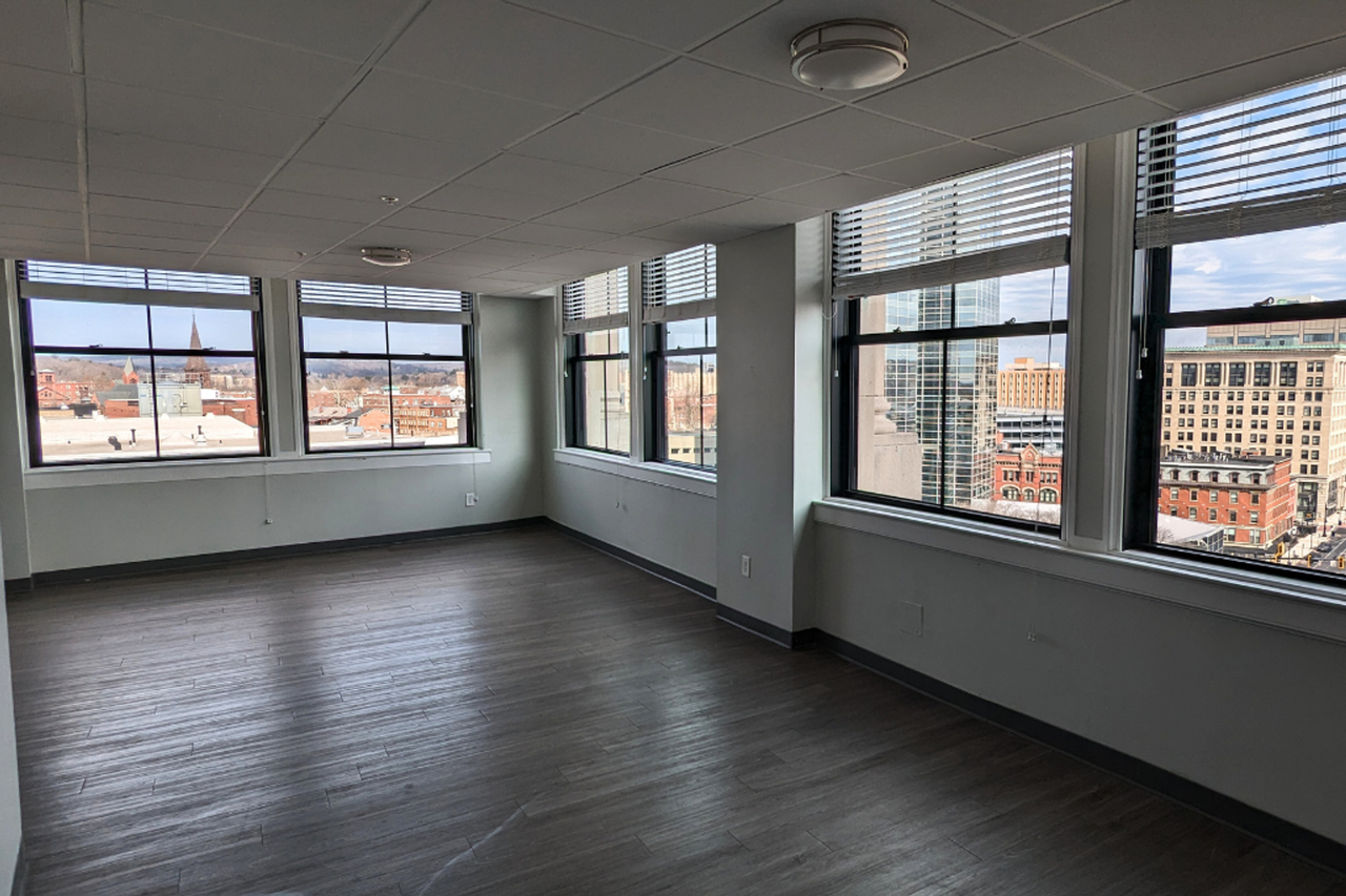 Park Plaza on the Grid - Photo 7 of 44