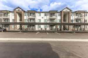 featured image of 550 N Haskett St