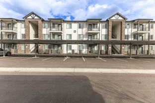 The Village Apartments - Photo 1 of 1